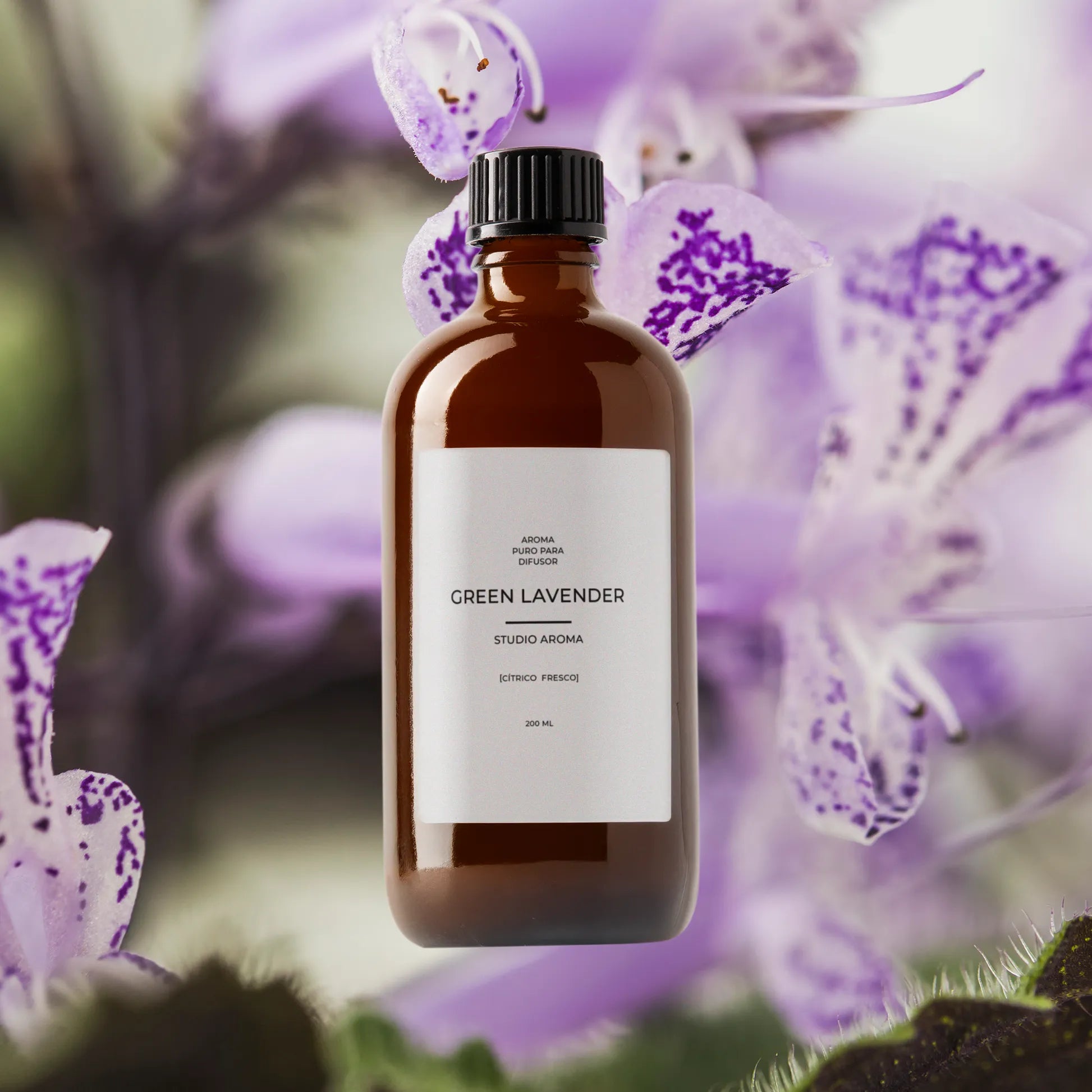 Green Lavender