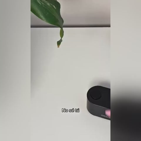 simplicity-mini-video